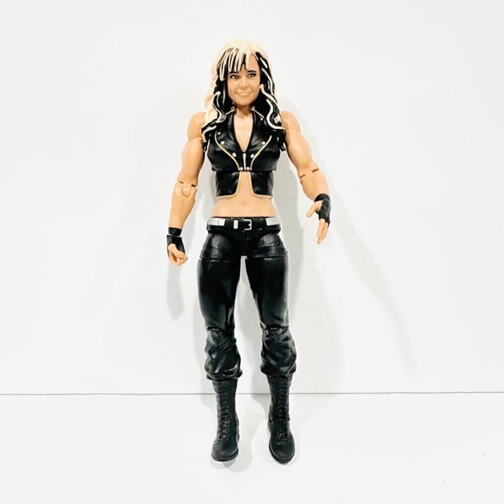 WWE Mattel Kaitlyn Series 36 #12 Wrestling Figure 2014